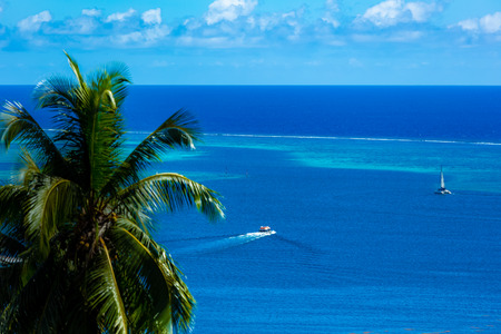 view from moorea islandの写真素材