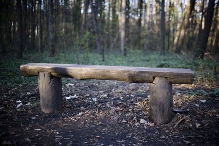 Old bench in the forestの写真素材