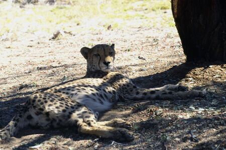 NAMIBIAの写真素材