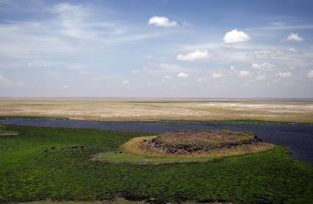 A LANDSCAPE OF THE AMBOSELI SWAMPの写真素材