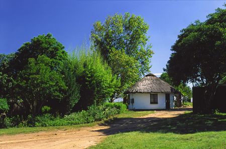 NATURA - NATUREの写真素材