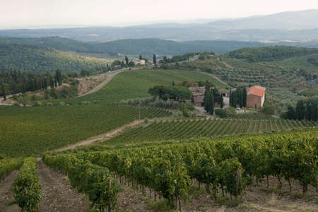 tuscany landscapeの写真素材