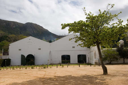 wnery in cape townの写真素材