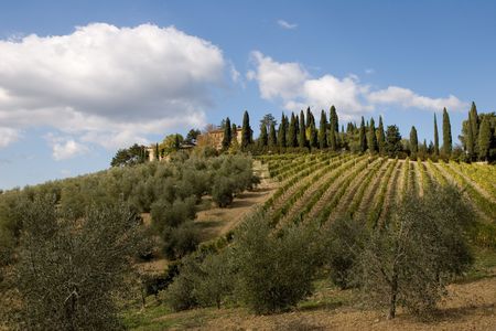 tuscany landscapeの写真素材