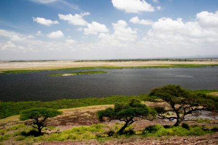 NATURA - NATURAの写真素材