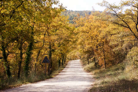 tuscany natureの写真素材