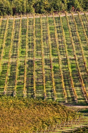 tuscany nature