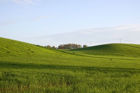 natureの写真素材