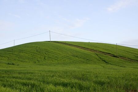 natureの写真素材