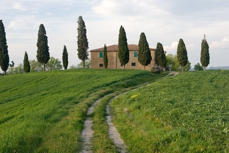 tuscanyの写真素材