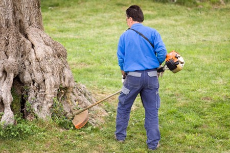 brush cutting