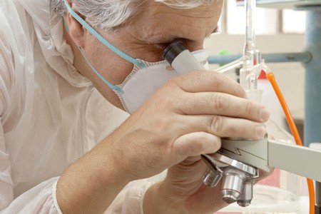 lab