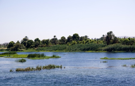 nile cruiseの写真素材