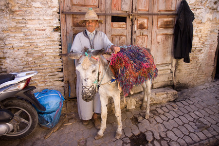 fezのeditorial素材