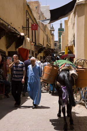 fezのeditorial素材