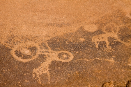 darmalandの写真素材