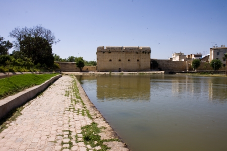 fez