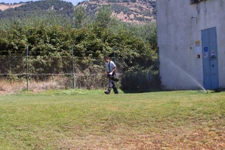 gardener