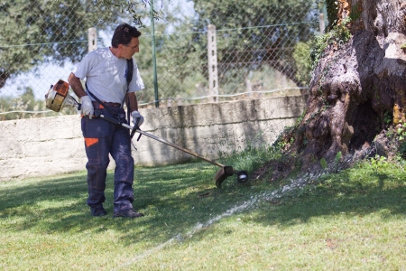 gardener