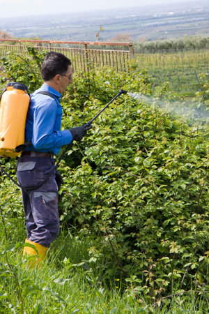 gardenerの写真素材