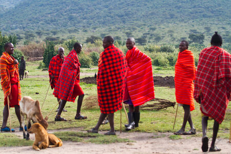 masaiのeditorial素材