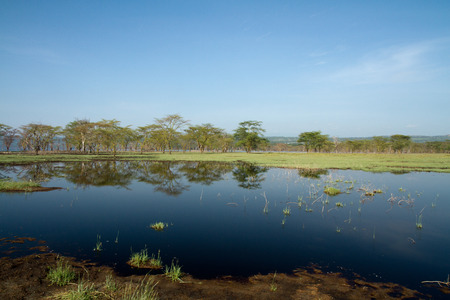 lake nakuruの写真素材