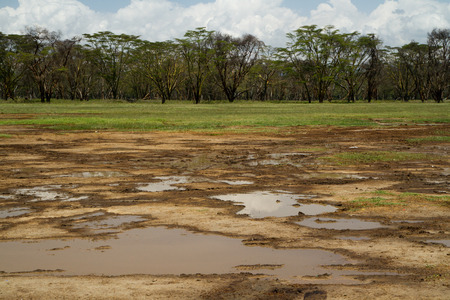 lake nakuru