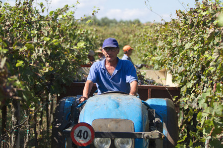 harvesting timeの写真素材