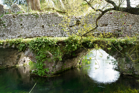 gardens of nymphの写真素材