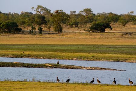africa
