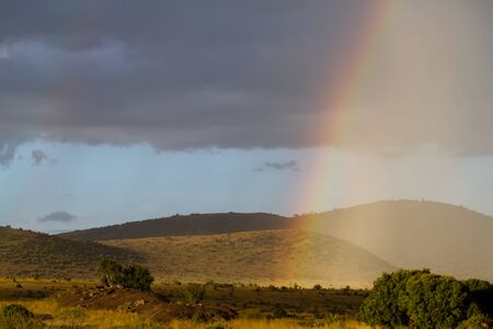 masai mara rainbow