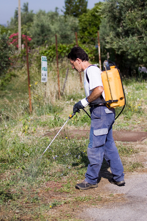 gardener spraying pesticideの写真素材