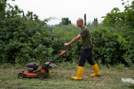 gardeningの写真素材