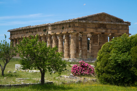 paestumのeditorial素材