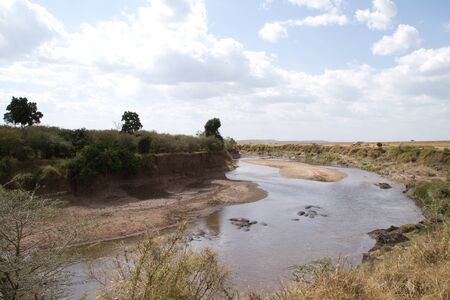 masai mara river maraの写真素材
