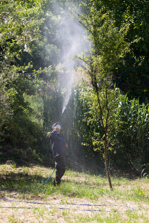 farmer using pesticideの写真素材