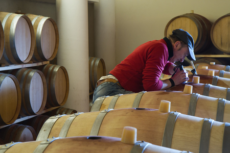 wine cellar for storing aged wine