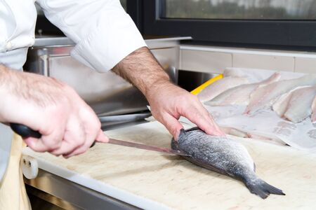 cook preparing salmon to be cooked