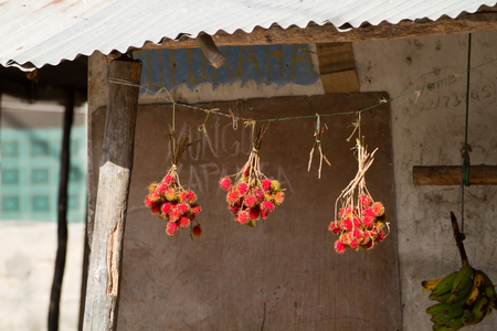 fruits of zanzibar in tanzaniaの写真素材