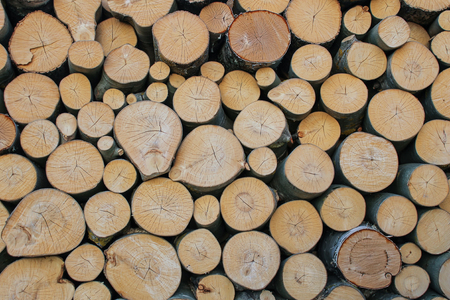 The firewood is stacked. Keep it as a fuel in winter.の写真素材