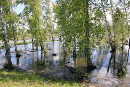 Spring flood in the countrysideの写真素材