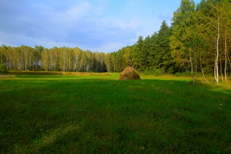 Haystack on the forest edge
