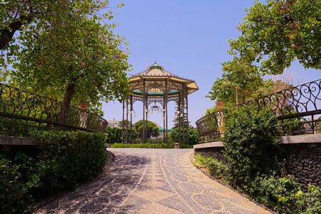 Belliniの写真素材