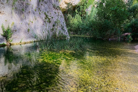 Pantalicaの写真素材