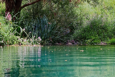 Lake Pantalicaの写真素材