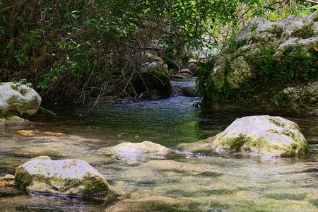 Lake Pantalicaの写真素材