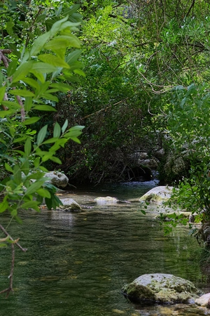 Lake Pantalicaの写真素材