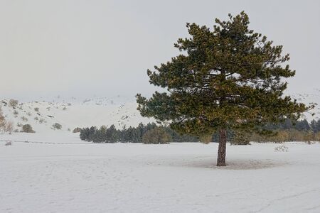 Etna landscapeの写真素材