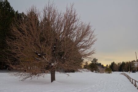 Etna landscapeの写真素材