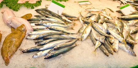 Variety of fresh fish in the market: tuna, codfish, monkfish, goosefishの写真素材